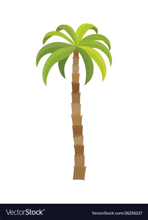 Image result for Simple Color Vector Drawing Palm Tree