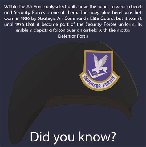 Air Force Security Forces Logo
