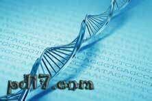 超高难度“拼图”终于完成！破译DNA遗传密码，释放生命科学无限潜能 @DNA日-微信文章-仪器谱
