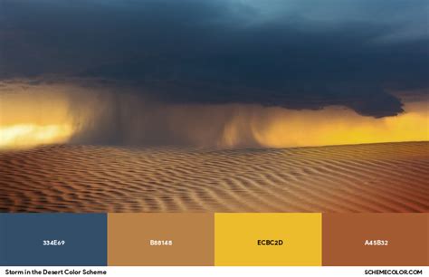 Storm in the Desert Color Scheme - Image Color Palettes - SchemeColor.com