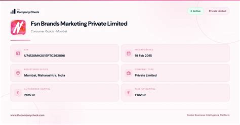 Fsn Brands Marketing Private Limited - 2026 Insights