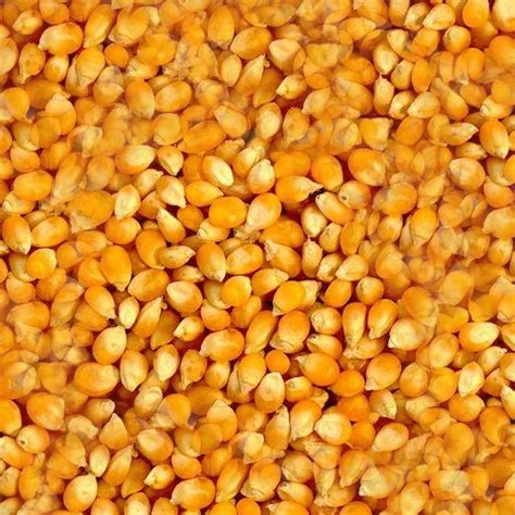LMV Engineers Pvt. Ltd.-Best Basmati Rice Suppliers,Best Non-Basmati ...
