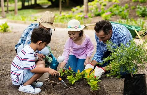 Image result for Associative Play Example