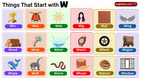 700 Things That Start with V – Positive Words and Daily Objects