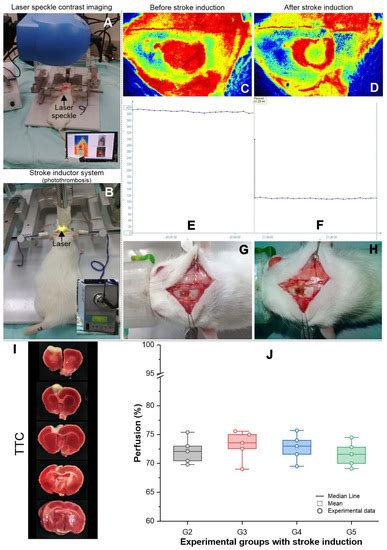 Cells | Special Issue : Mesenchymal Stromal Cell‐Based Therapy
