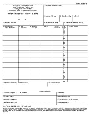 Inspection Report Insects In Grain. Identfying Insects In Grain For ...