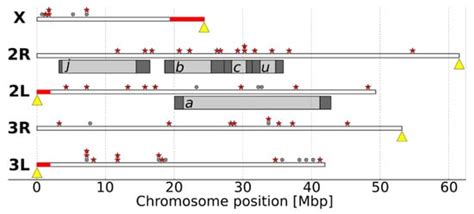 Evidence for Divergent Selection on Immune Genes between the African ...