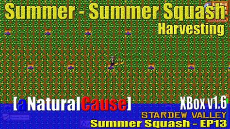 [Stardew Valley - Summer] Summer Squash - Harvesting - XBox - EP 13 ...