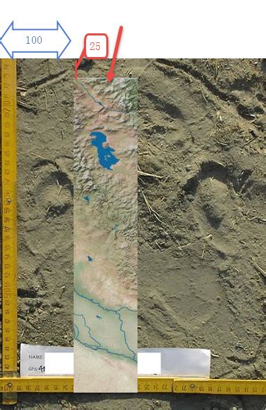 Image result for JMP Text