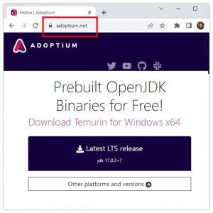 Image result for Windows Install Java 2.1 MSI Adoptium