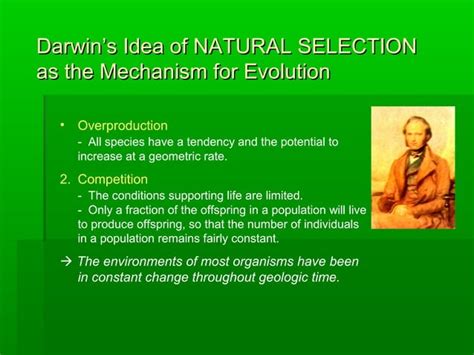 Evolution Theory 的图像结果