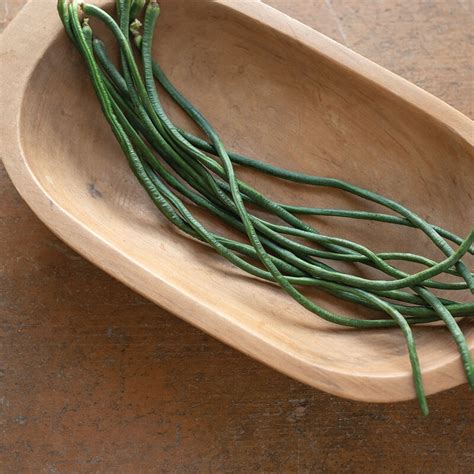 Image result for Monty Python Beans