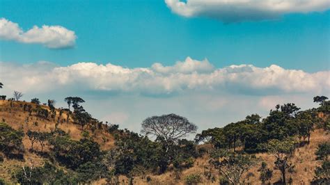 Wallpaper africa, hills, trees, clouds hd, picture, image
