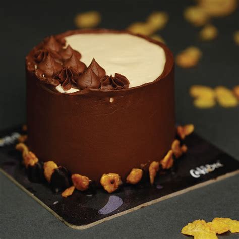 Dark Chocolate Cherry Mini Cake |Mini Chocolate Cake 200gm | CakeBee