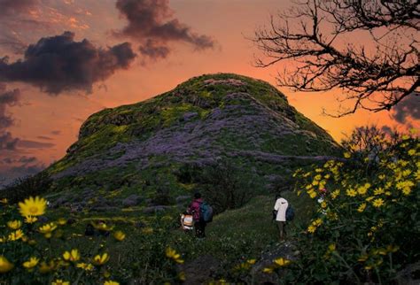 13 Best Trekking Places in Maharashtra