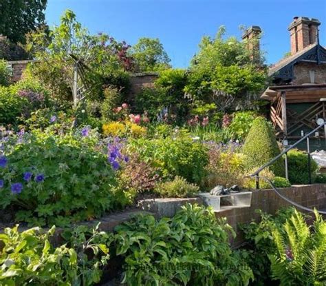 KCF Annual Garden Party , Upsall Drive Darlington , 1 June 2024 | AllEvents