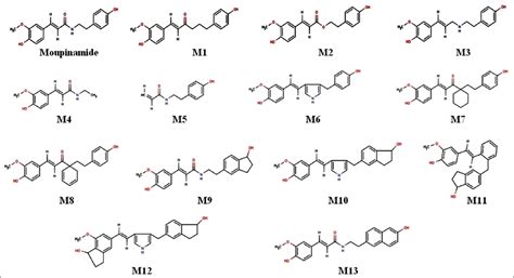 Structure-based drug designing for N-methyl-D-aspartate receptor: Link ...