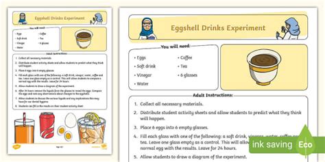 Eggshell Drinks Experiment (teacher made) - Twinkl