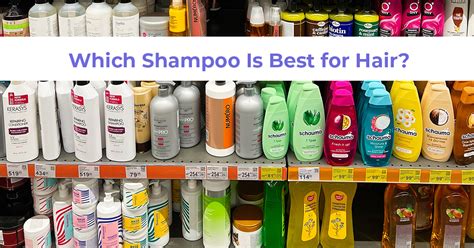 Wondering Which Shampoo Is Best for Hair? – AreoVeda