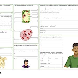 KS3 Science Revision Mats | KS3 Science | Beyond