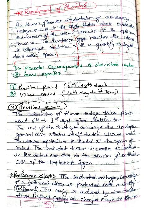 Placenta Development Notes Anatomy 的图像结果
