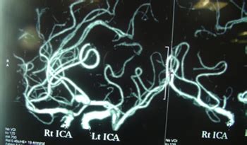 Dr. Partha Pratim Bishnu