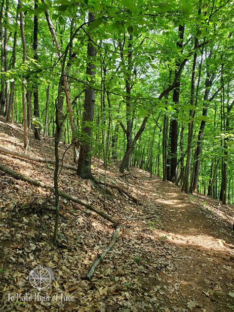Hiking Read Mountain Preserve in Southwestern Virginia - 4.6 Mile Loop ...
