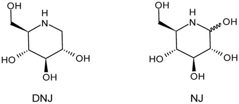 Insights into the Activities and Usefulness of Deoxynojirimycin and ...