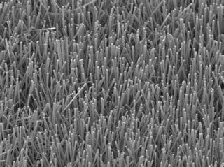 Zinc oxide nanorod formation system: MPCVD-ZnO