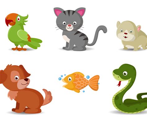 Cartoon Network Pets 的图像结果