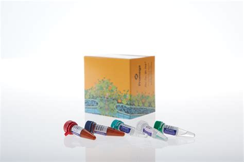 LMR MSI Analysis System | Endometrial Cancer Research | Long ...