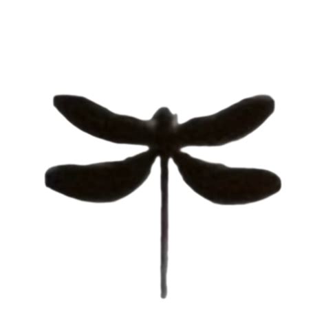 Image result for Sample Space Visual