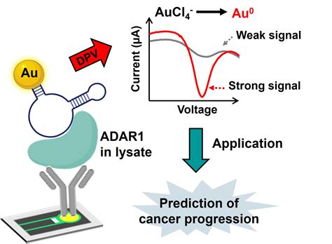 Sensing a biomarker | Asia Research News