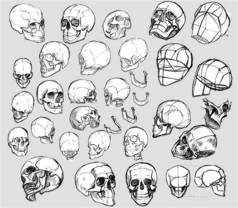 skull_2_by_neofic-d5hllxd Human Face Sketch, Human Skull Drawing ...