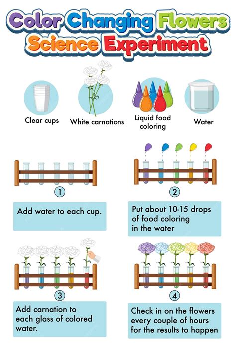 Image result for Color Changing Experiment