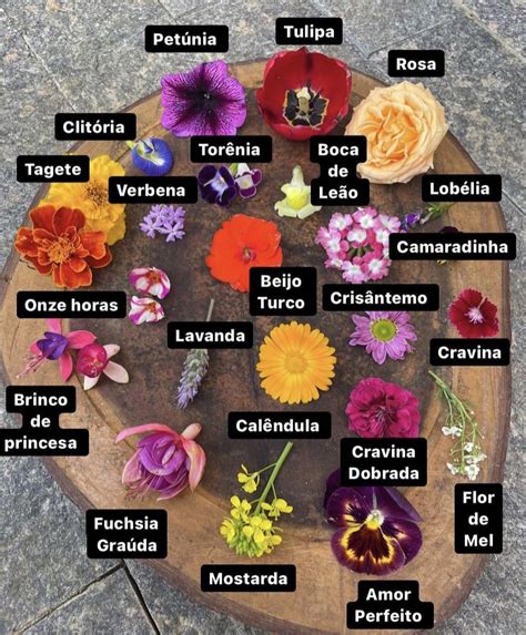Pin by Esmeralda quintero on Huerto | Planting flowers, Pretty flowers ...