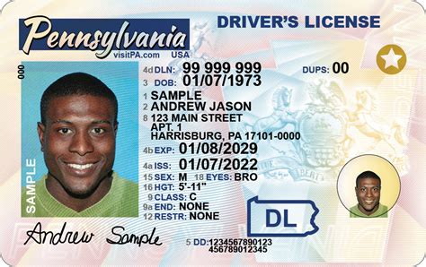 Image result for Drivers License Requirements