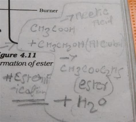 Balanced equation of ethanoic acid reacts with ethanol in the presencr ...