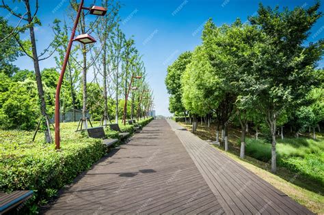 City Park 的图像结果