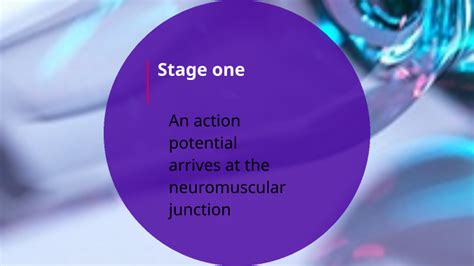 Image result for Muscle Contraction Animation Steps