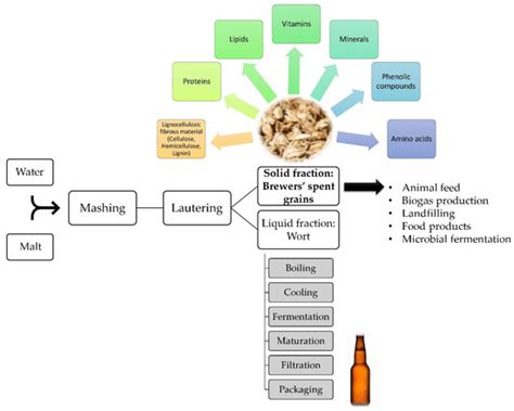 Valorization of Brewers’ Spent Grains: Pretreatments and Fermentation ...