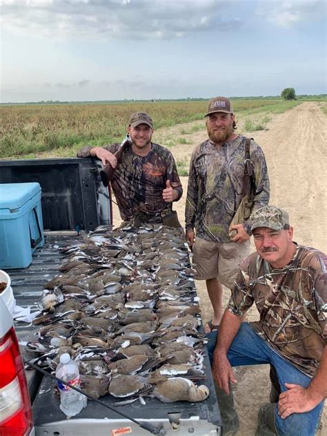 Texas Dove Season: 2024-2025 Hunting Dates & Information