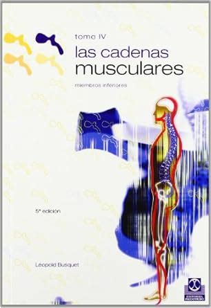 Buy Las Cadenas Musculares / Muscular Chains Lower Members: Miembros ...