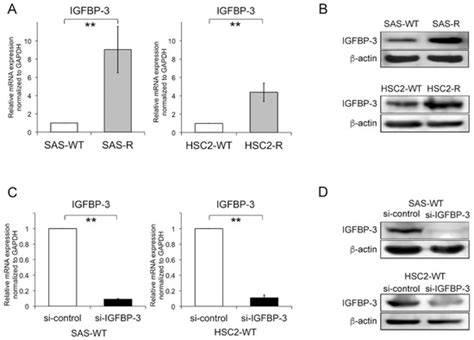 Cancers | Special Issue : Cancer Biomarkers