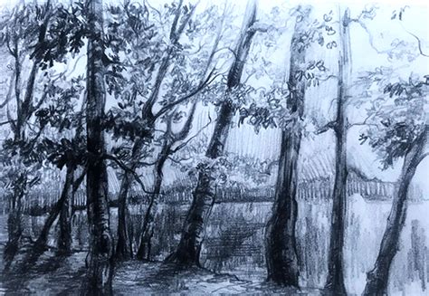 Image result for Nature View Drawing