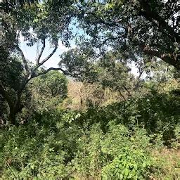 Places in Courtallam Slopes R.F., Tamil Nadu | Yappe.in