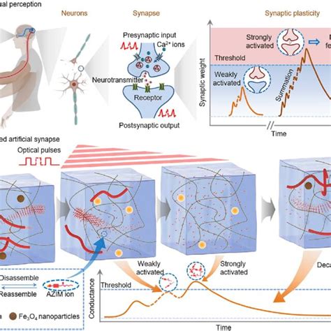 Image result for Visual Perception Meaning