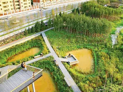 Stormwater park at Qunli, China - Design: The real turning point of ...