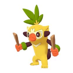 Image result for Practice CS Report Examples