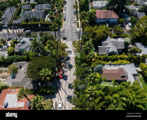 Aerial View of Los Angeles Residential Neighborhood with Palm Trees ...